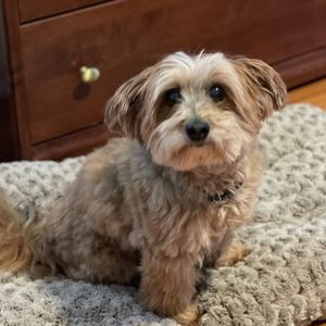 Meet your Posher, Karine